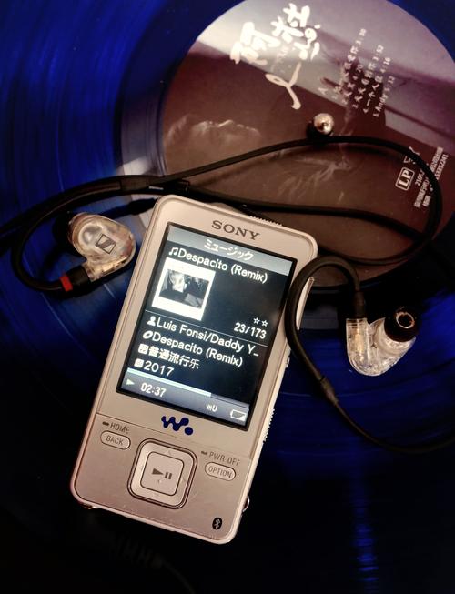 W.D.Y.C.A.I.-A.mp3